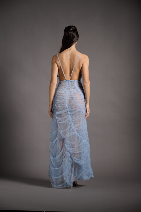Iris - Image 3